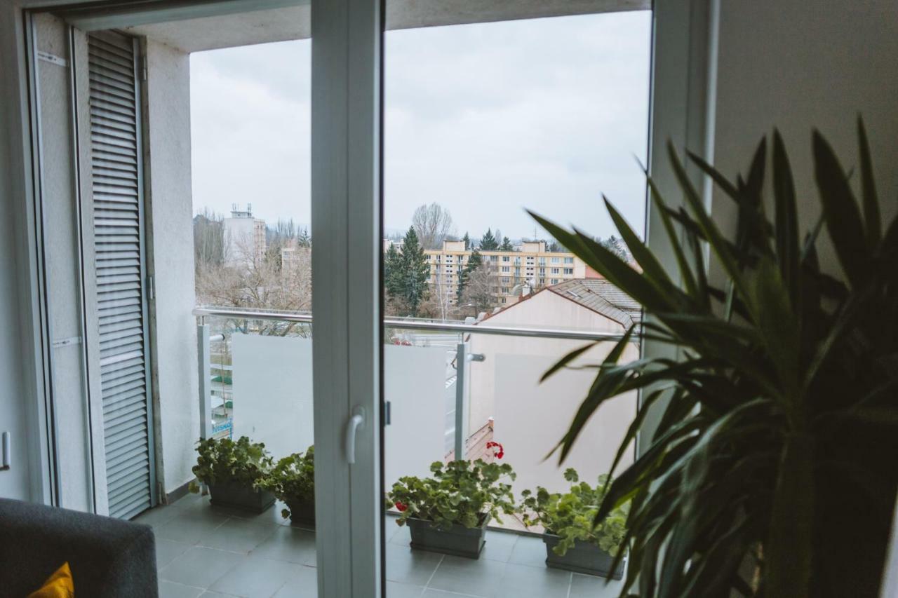 Design Apartment, The City Centre Close To The Health Spa Pieszczany Zewnętrze zdjęcie
