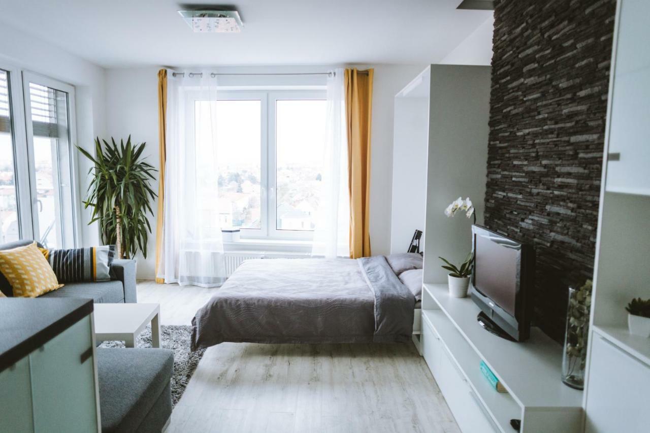Design Apartment, The City Centre Close To The Health Spa Pieszczany Zewnętrze zdjęcie