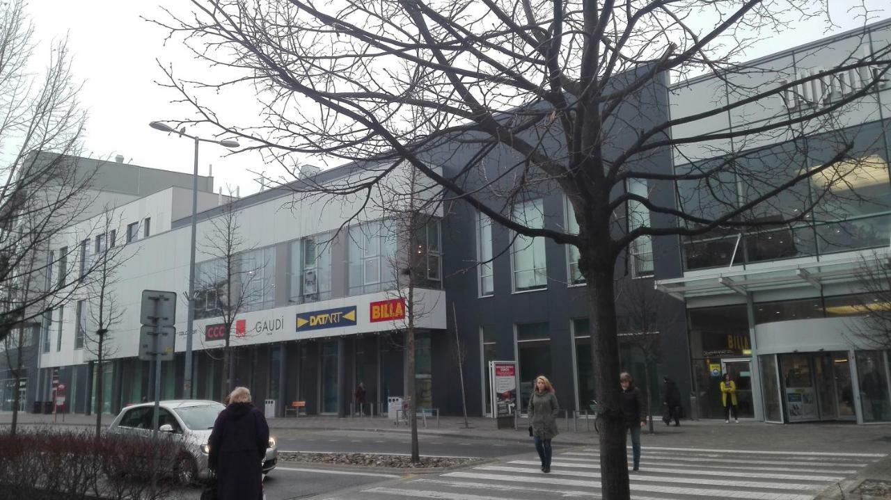 Design Apartment, The City Centre Close To The Health Spa Pieszczany Zewnętrze zdjęcie